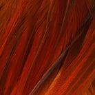 Wapsi - Wapsi Strung Rooster Saddles Long - Feather Craft Fly Fishing