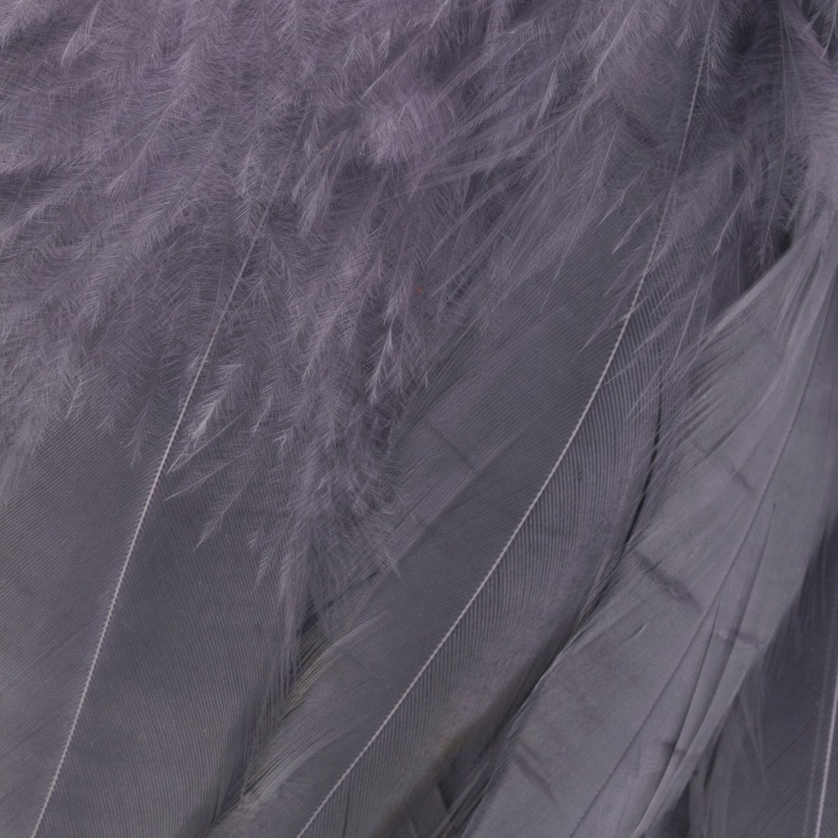 Wapsi - Wapsi Strung Rooster Saddles Long - Feather Craft Fly Fishing