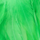 Wapsi - Wapsi Strung Rooster Saddles Long - Feather Craft Fly Fishing