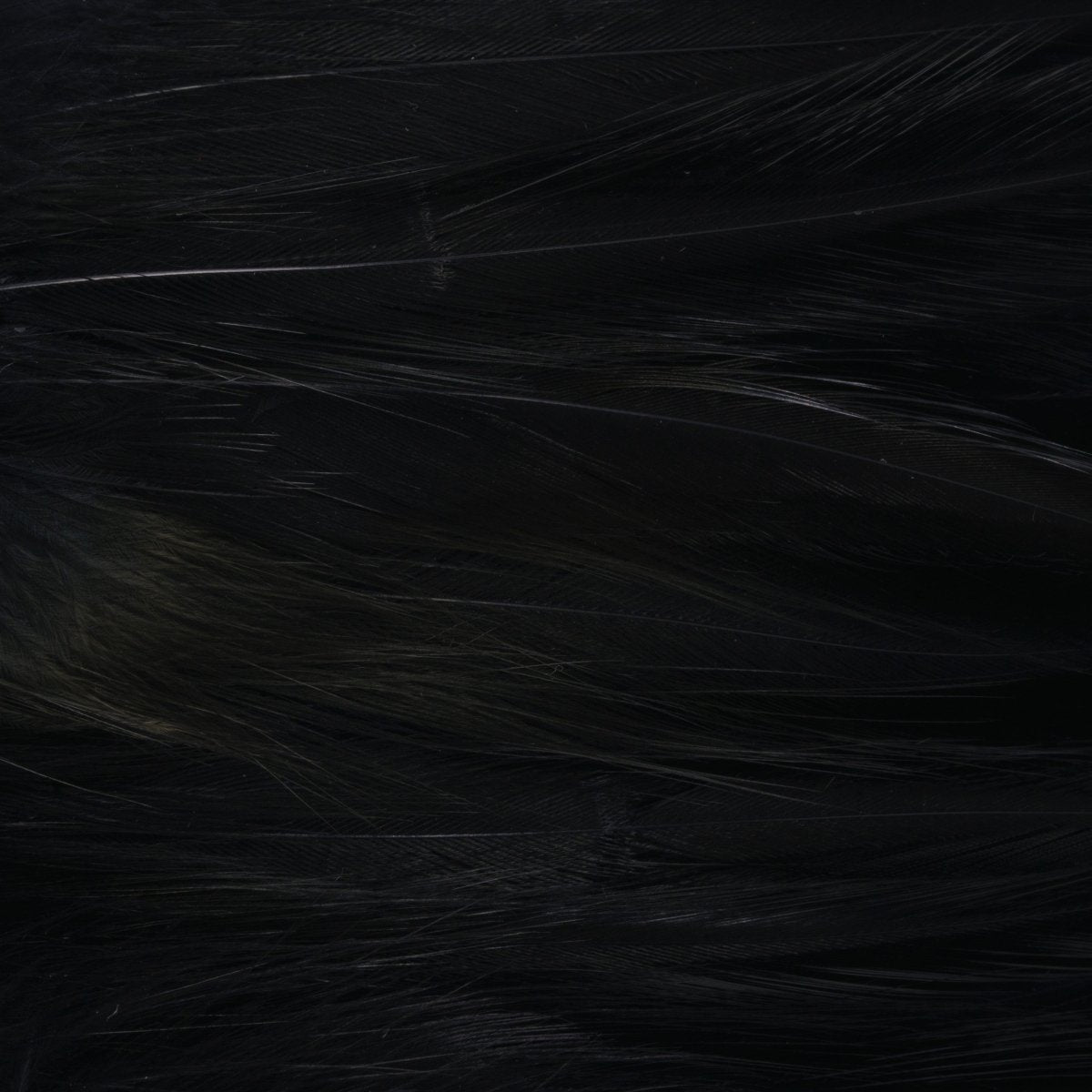 Wapsi - Wapsi Strung Saltwater Neck Hackle - Feather Craft Fly Fishing