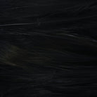 Wapsi - Wapsi Strung Saltwater Neck Hackle - Feather Craft Fly Fishing