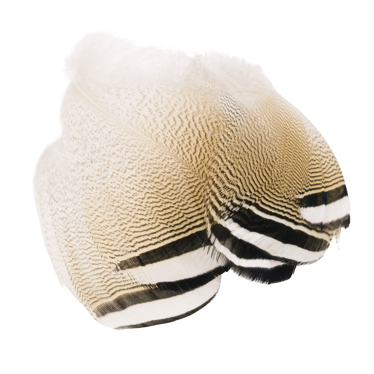 Wapsi - Wapsi Wood Duck Black & White Flank Feathers - Feather Craft Fly Fishing