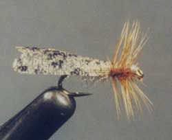 Wapsi - Web Wing - Feather Craft Fly Fishing