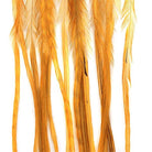 Whiting - Whiting 100 Pack - Feather Craft Fly Fishing