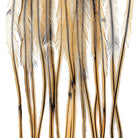 Whiting - Whiting 100 Pack - Feather Craft Fly Fishing