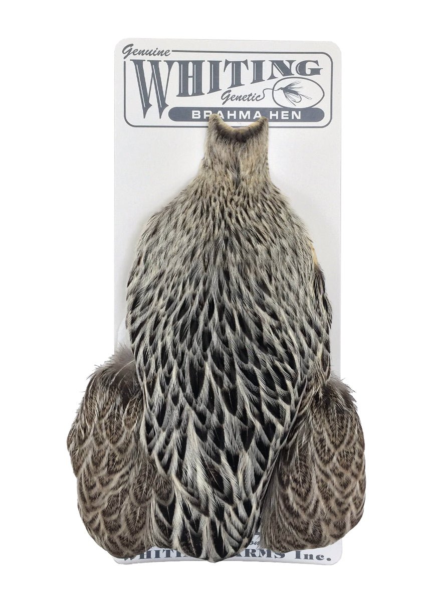 Whiting - Whiting Brahma Hen Cape - Feather Craft Fly Fishing