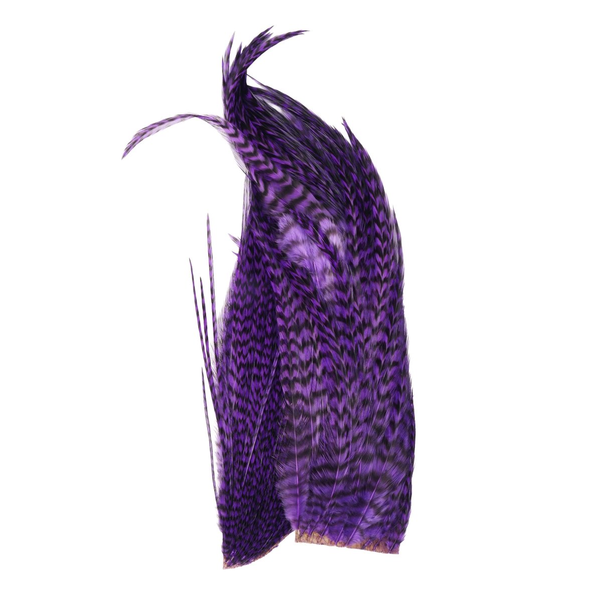 Whiting - Whiting Bugger Pack - Feather Craft Fly Fishing