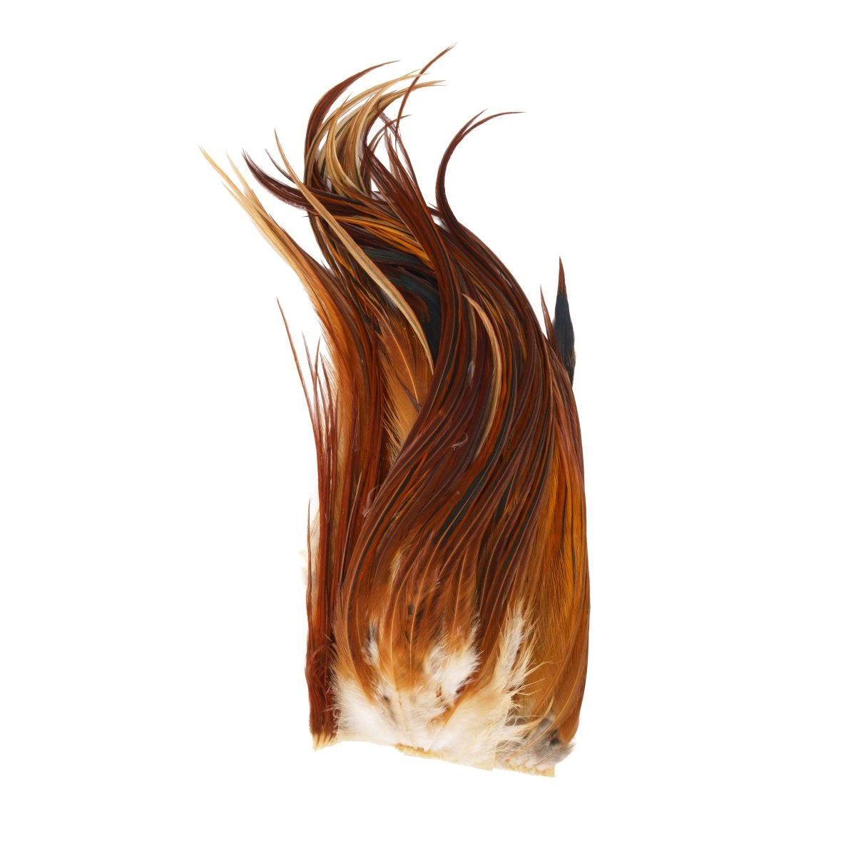 Whiting - Whiting Bugger Pack - Feather Craft Fly Fishing