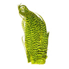 Whiting - Whiting Bugger Pack - Feather Craft Fly Fishing