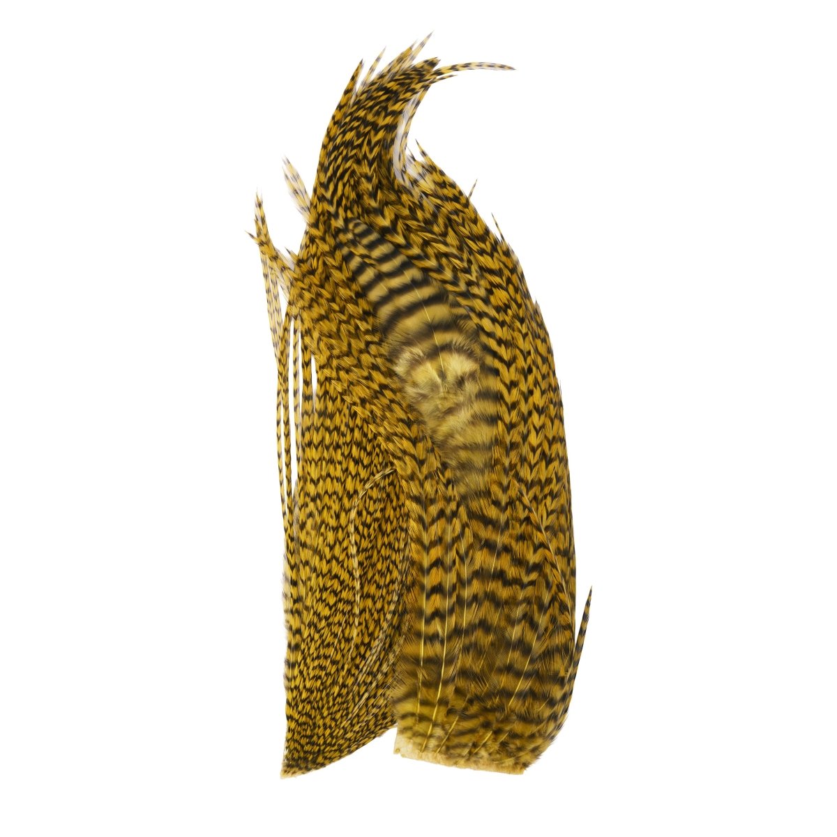 Whiting - Whiting Bugger Pack - Feather Craft Fly Fishing
