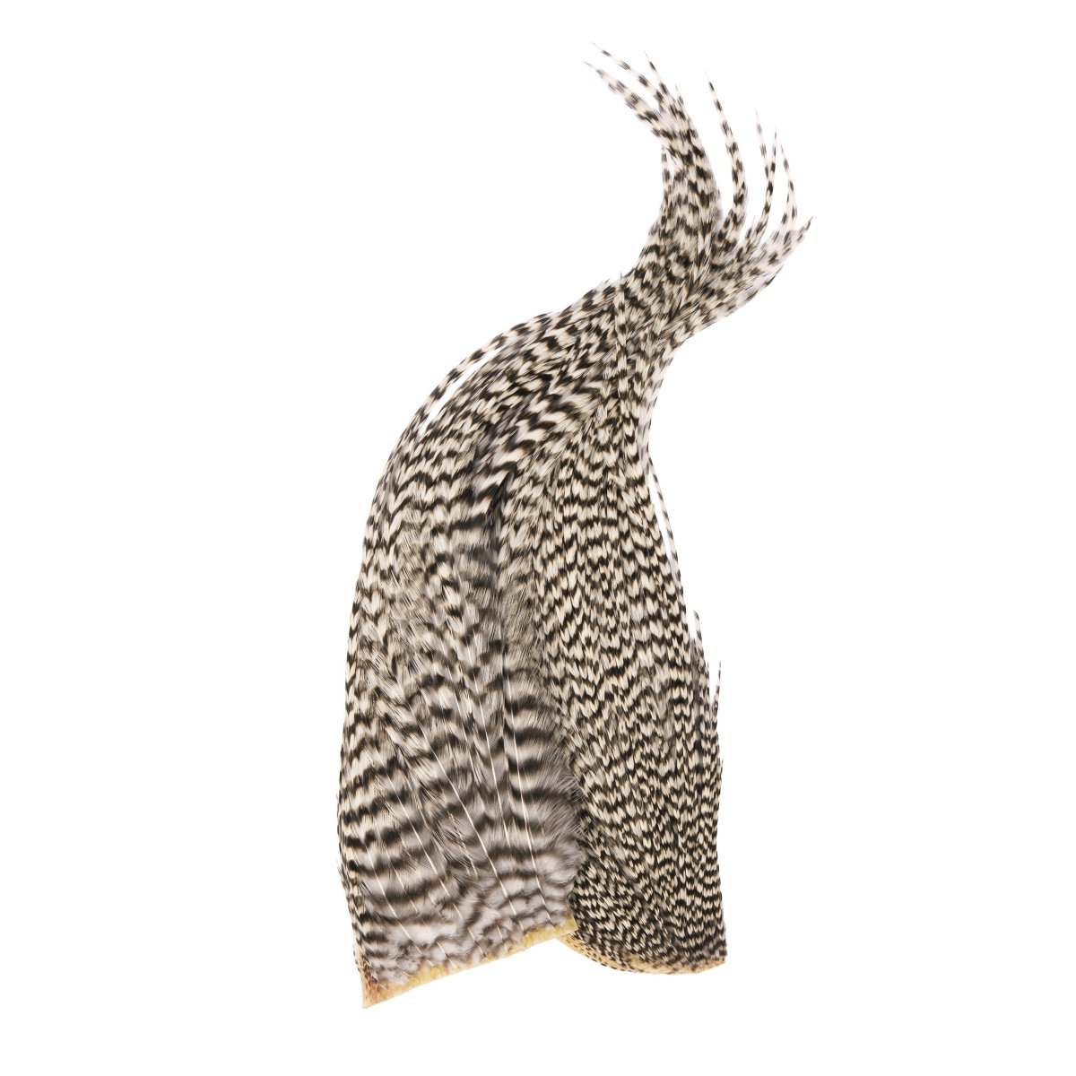 Whiting - Whiting Bugger Pack - Feather Craft Fly Fishing