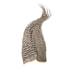 Whiting - Whiting Bugger Pack - Feather Craft Fly Fishing