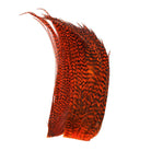 Whiting - Whiting Bugger Pack - Feather Craft Fly Fishing