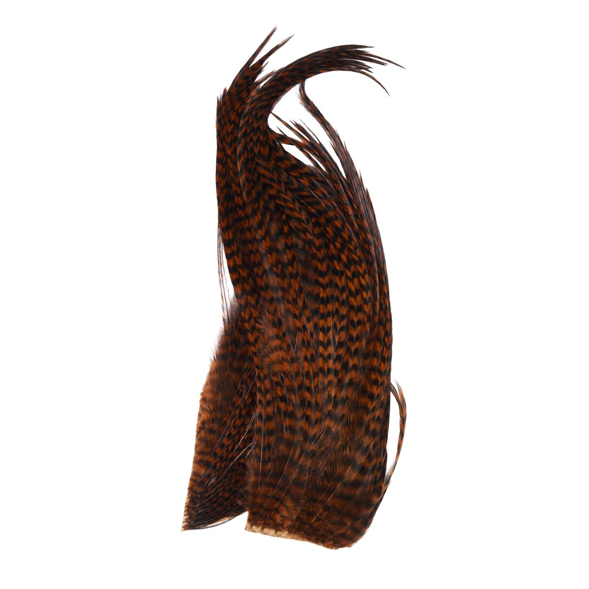 Whiting - Whiting Bugger Pack - Feather Craft Fly Fishing