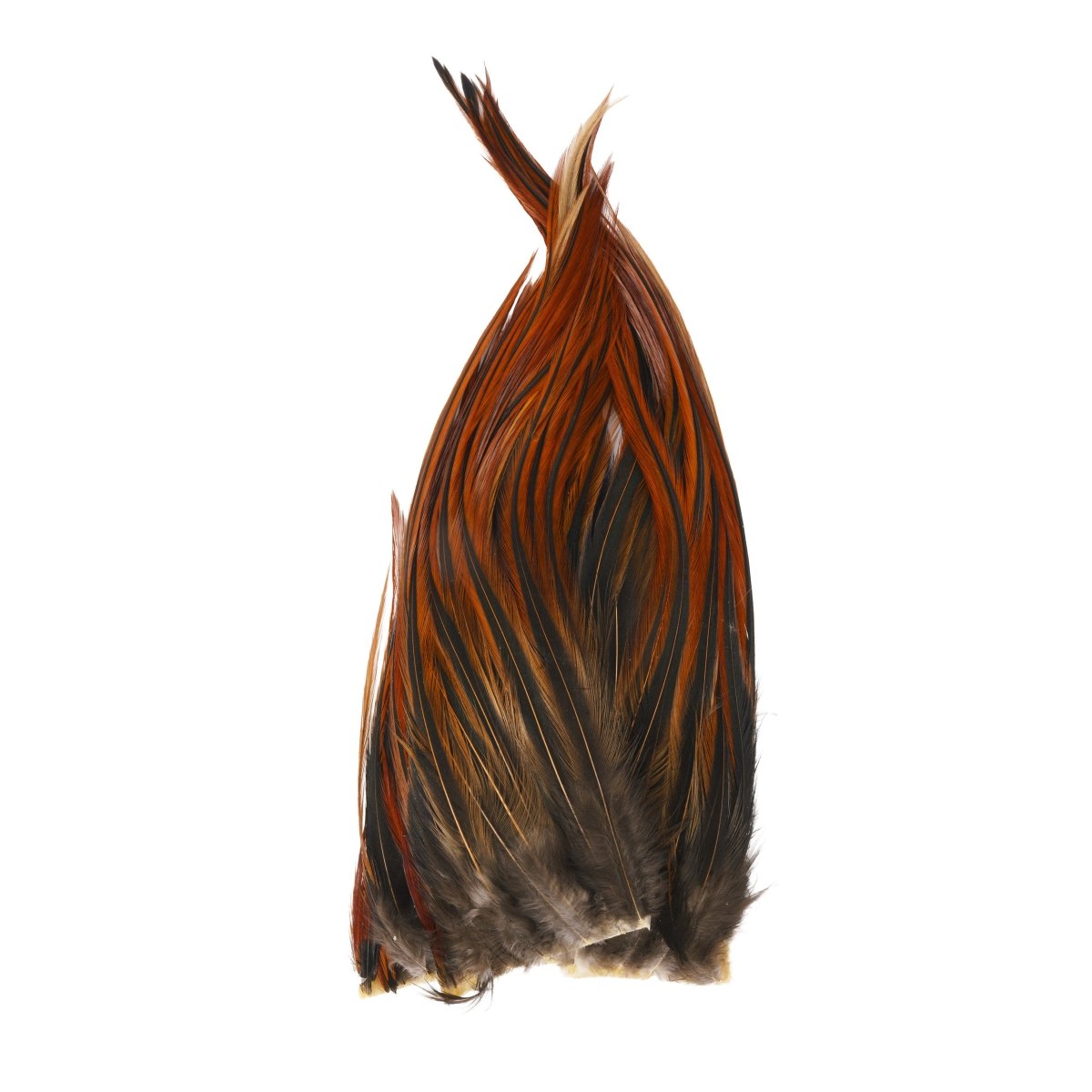 Whiting - Whiting Bugger Pack - Feather Craft Fly Fishing