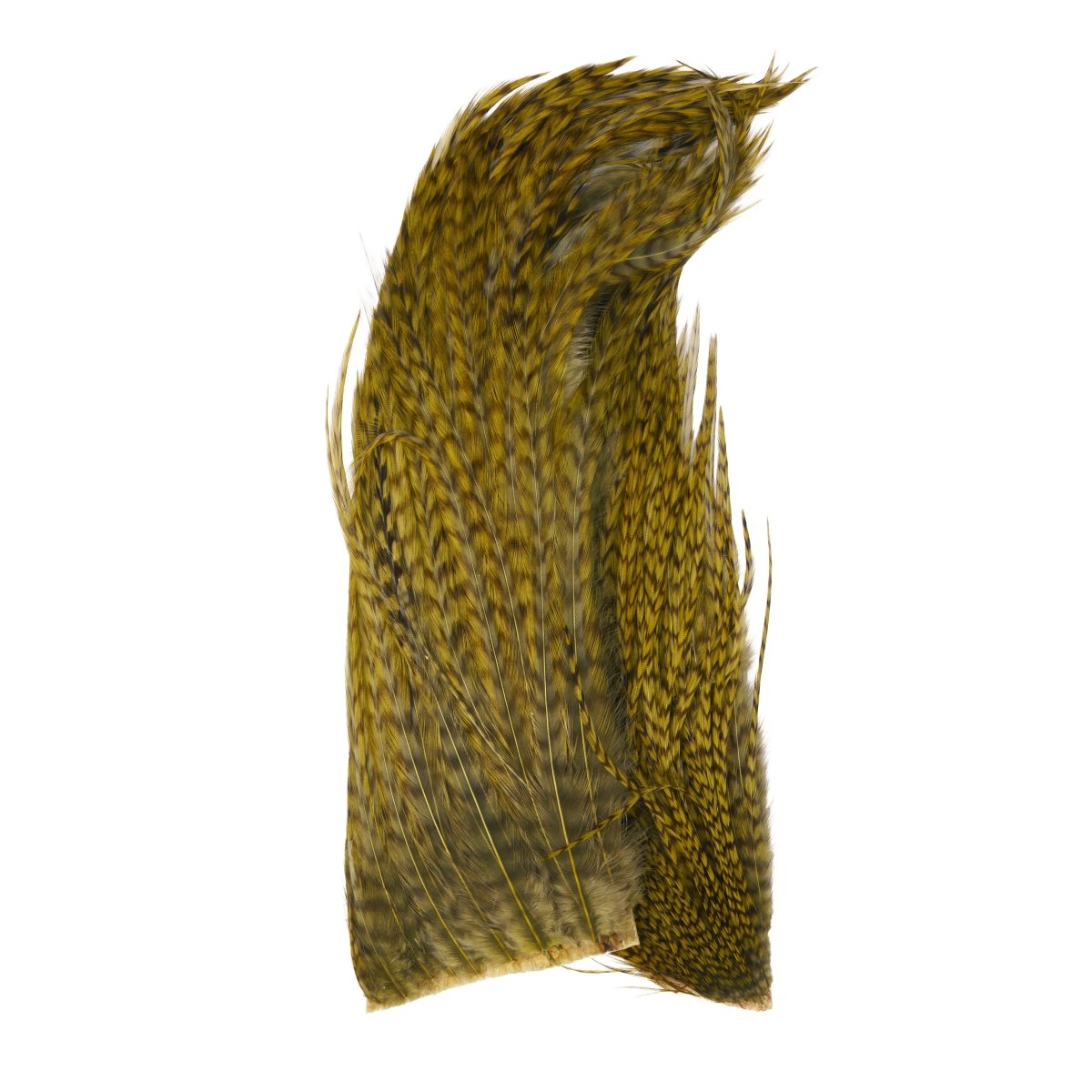 Whiting - Whiting Bugger Pack - Feather Craft Fly Fishing