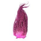 Whiting - Whiting Bugger Pack - Feather Craft Fly Fishing