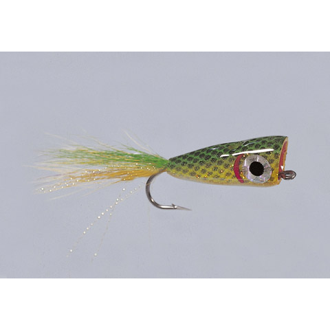Bubble-Head Popper  Feather-Craft Fly Fishing