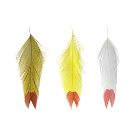 Feathers  Feather-Craft Fly Fishing